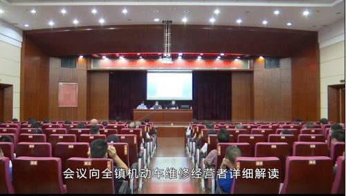 樟木頭鎮(zhèn)召開機(jī)動(dòng)車維修行業(yè)危險(xiǎn)廢物規(guī)范化管理督導(dǎo)會(huì)，深化固體廢物污染治理